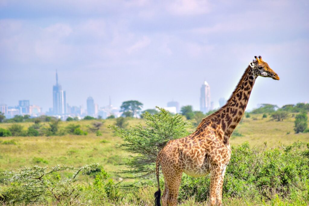 NAIROBI