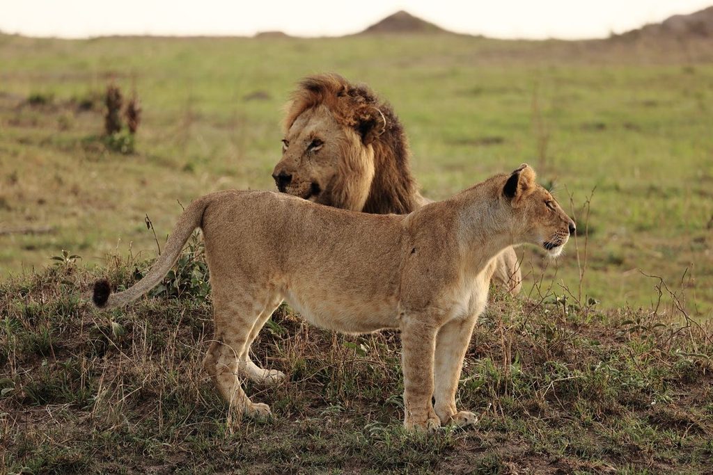 TANZANIA